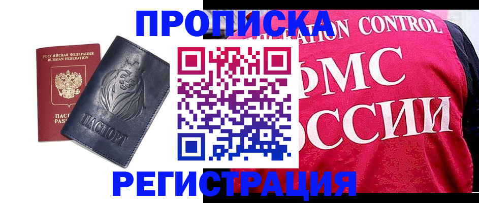 где прописаться в Малой Вишере